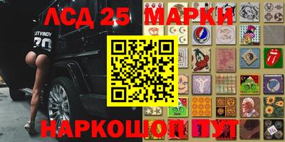 прущие грибы Краснокаменск