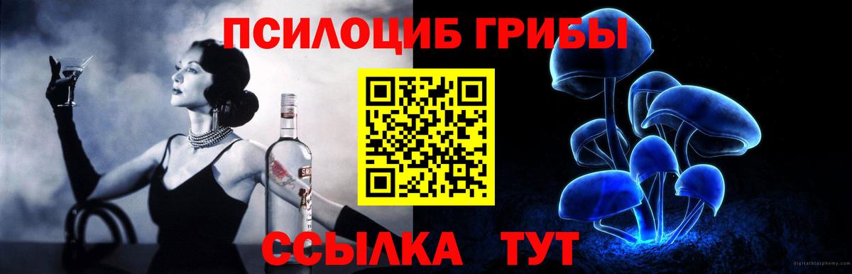 Галлюциногенные грибы Magic Shrooms  Вход с VPN  Усть-Илимск  Галлюциногенные грибы прущие грибы 